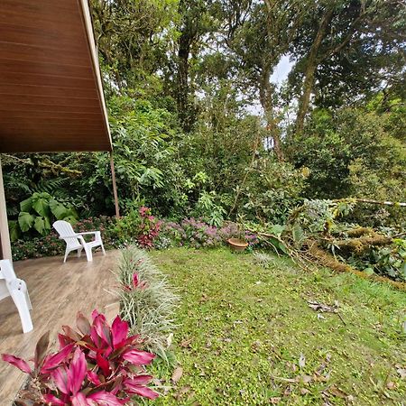 Puma Meraki Mountain View Monteverde Exterior foto